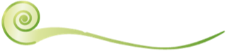 Anja Steinmetz Logo